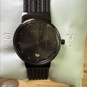 Skagen Black Mesh Band Ladies Watch